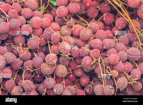 Liechee liche lizhi li zhi litchi hi-res stock photography and images - Alamy