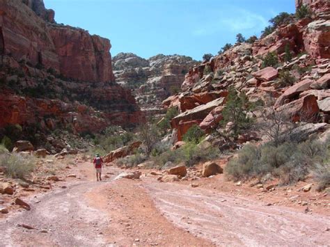 7 best hikes in Capitol Reef National Park - The Salt Lake Tribune