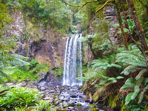 Cape Otway National Park | Andrew Hunter-Graham | Flickr