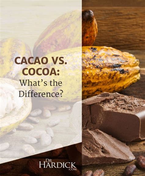 Cacao vs. Cocoa - What’s the Difference? | DrHardick