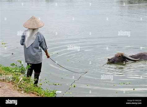 Vietnam farming hi-res stock photography and images - Alamy