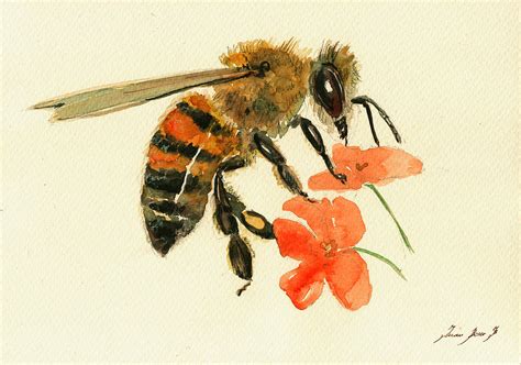 Honey bee watercolor painting Painting by Juan Bosco - Pixels