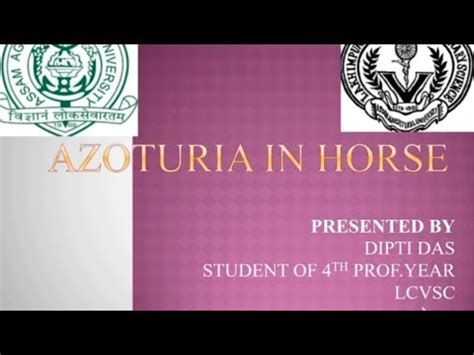 Azoturia in Horse - YouTube