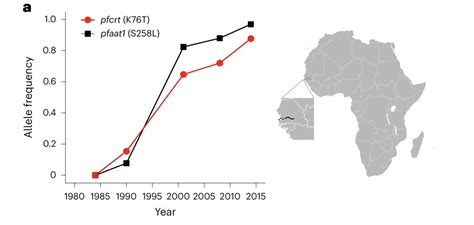 Second gene implicated in malaria parasite resistance evolution to chloroquine - Texas Biomed