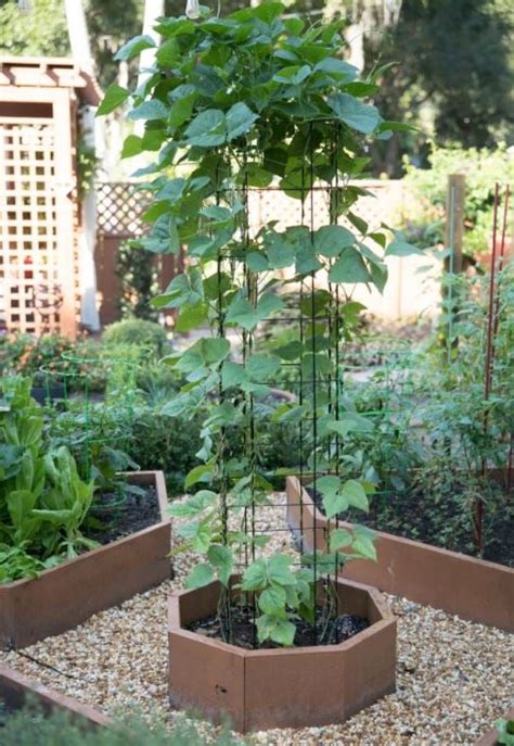 Small Vegetable Garden Ideas | Gardener's Supply