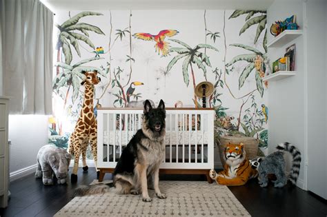 A Colorful Jungle Safari Nursery - Project Nursery | Jungle safari nursery, Safari nursery ...