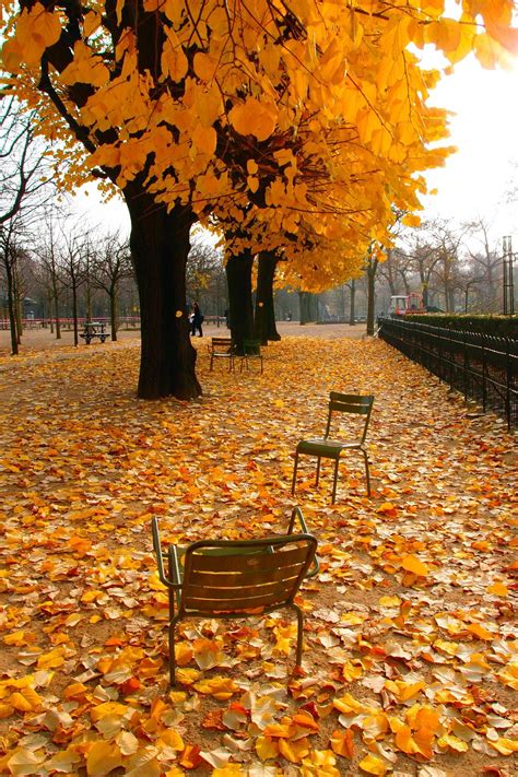 Paris - Jardins du Luxembourg - Anibal Gondim | Autumn scenery, Autumn scenes, Beautiful landscapes