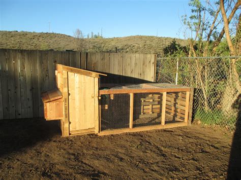 Big enough coop for 5 laying hens? | BackYard Chickens - Learn How to ...