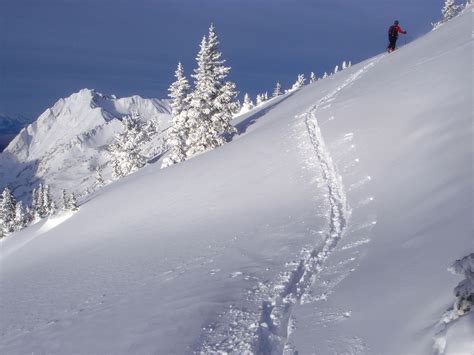 Backcountry Skiing Tours Wasatch Mountain Range Utah: Ski Touring