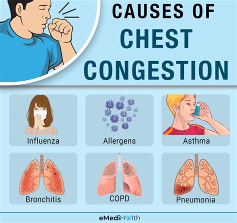 Chest Congestion: Causes, Symptoms, and Treatments