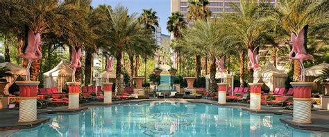 Flamingo Las Vegas Pool: Go Pool & Beach Club Pool