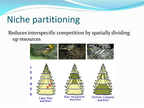 PPT - Species Interactions Chapter 8, Sections 2 PowerPoint Presentation - ID:2113916