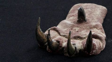 Archaeologists uncover ancient Moche tomb along with stunning and unique artifacts | Ancient Origins