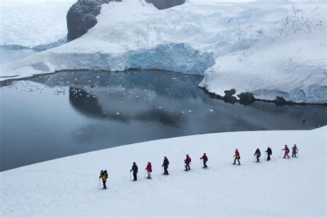 Antarctica, a tourism boom is putting the continent's fragile ecosystem ...