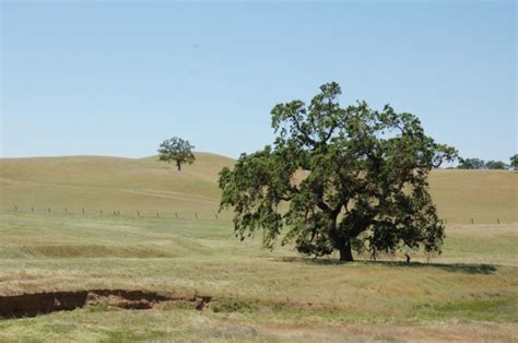 Home Page colusa County Genealogy