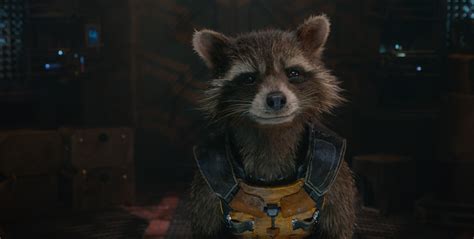 Image - Rocket-raccoon-guardians-of-the-galaxy-2.jpg - Heroes Wiki