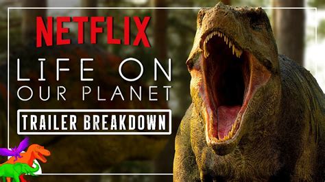 Life On Our Planet 2024 Netflix Release Date - Katha Maurene