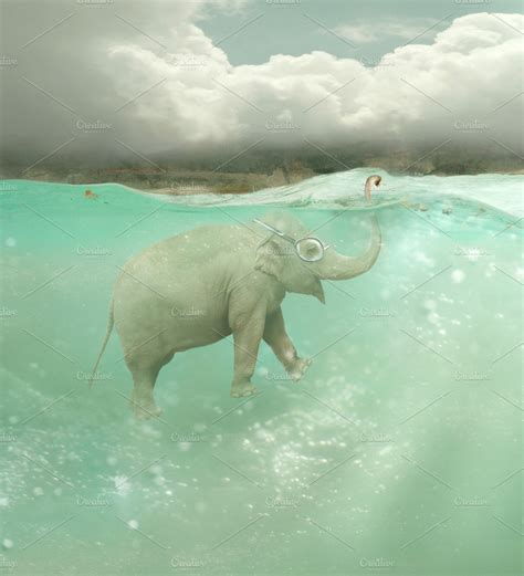 Underwater Elephant | High-Quality Animal Stock Photos ~ Creative Market