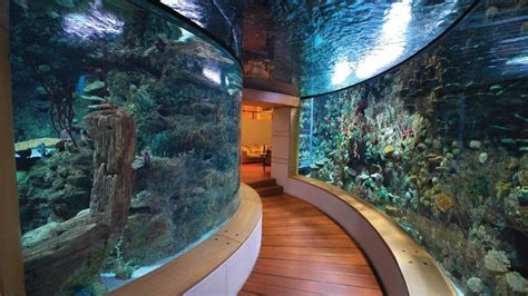 an aquarium with fish in it and wooden floors