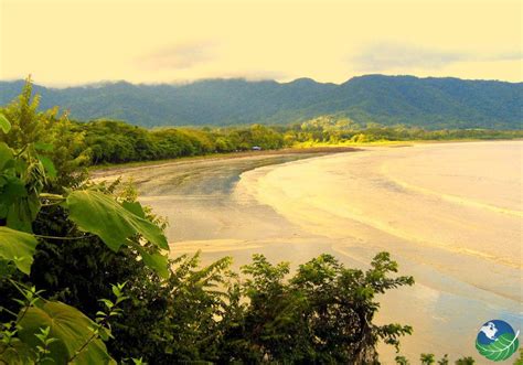 Santa Teresa Costa Rica, Beach and surf town in Nicoya