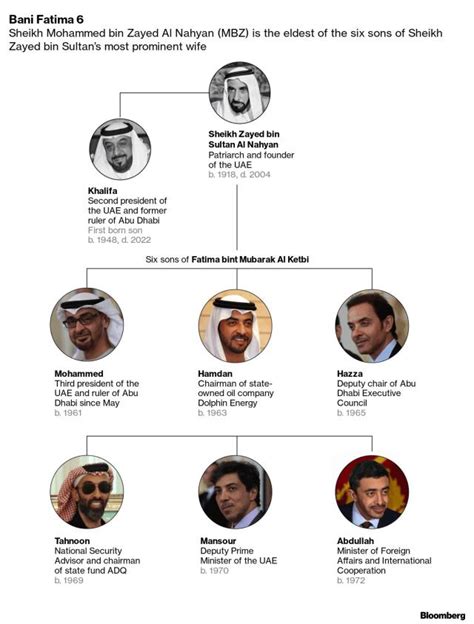 UAE Ruler Names Son Crown Prince, Elevates Other Royals