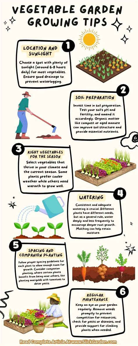 Vegetable Garden Growing Tips – Slick Garden