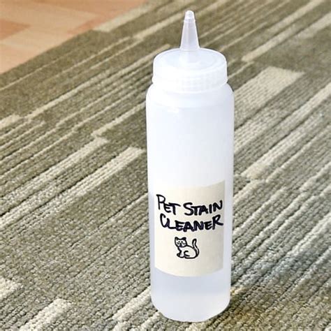 Homemade Pet-Stain Cleaner | POPSUGAR Smart Living