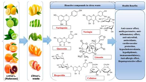 Molecules | Free Full-Text | Citrus Waste as Source of Bioactive ...