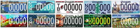 The Art of the Plate: A Guide to Designing and Ordering Custom License Plates - Alpha Auto Group