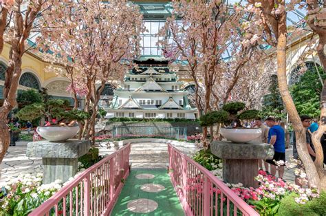 PHOTOS: Bellagio conservatory spring display