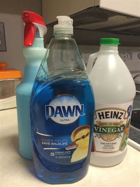 Dawn Dish Soap And Vinegar Window Cleaner