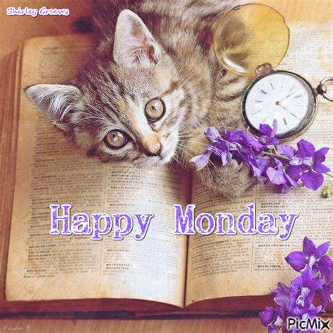 Happy Monday Greetings Gif - good morning sticker