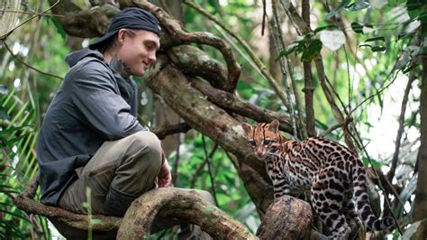 Wildcat Film Review: Young Veteran and Baby Ocelot Heal Each Other in ...