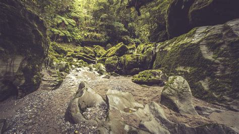 Explore The Best Hikes Of Punakaiki & Paparoa National Park