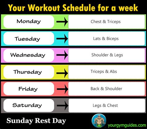 Full Week Workout Plan - at Gym | HEALTH & GYM GUIDE