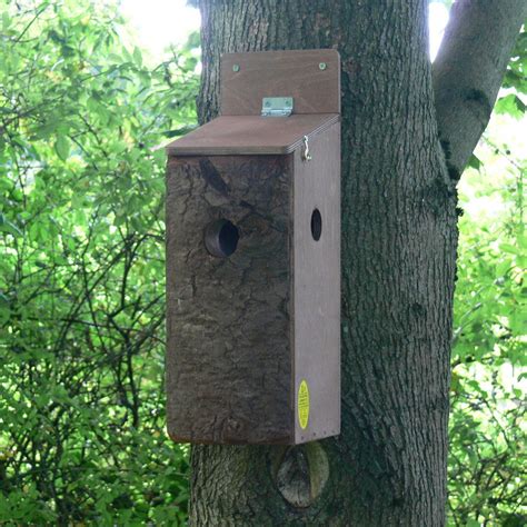 Red Squirrel Nest Box | The Nestbox Company