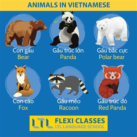 170+ Animals in Vietnamese 🦁 // Ultimate Vocab Guide & QUIZ