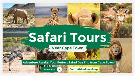 Safari Tours from Cape Town | Best Big 5 Safari Day Trips