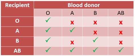 The ABCs of ABO Blood Types | Canadian Blood Services