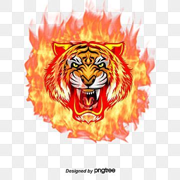 tiger,head,flame,vector tiger head,cartoon hand drawing,fire vector,tiger vector,head vector ...