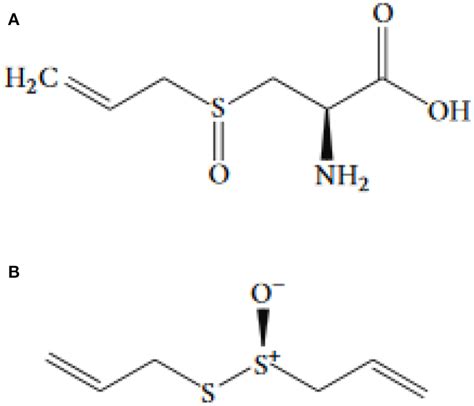 | The chemical structure of (A) allicin and (B) alliin. | Download Scientific Diagram