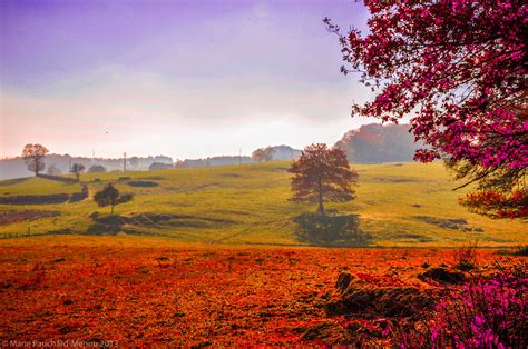 France, Burgundy (Bourgogne) I took this picture near my village ©Marie Pauchard-Menou 2013 # ...