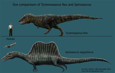 Spinosaurus and T-Rex Size Comparison by Harry-the-Fox | Spinosaurus ...