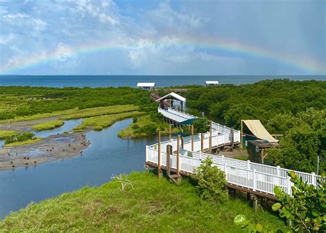 South Padre Island Birding Nature & Alligator Sanctuary