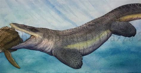 Prehistoric Beast of the Week: Tylosaurus: Beast of the Week