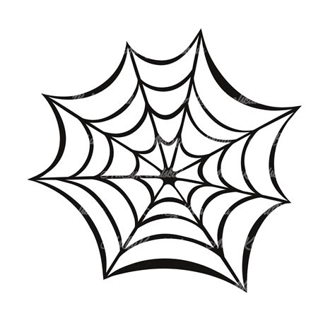 Spider Webs | tunersread.com