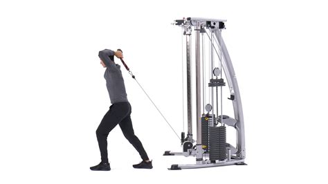 tricep extension machine - DrBeckmann