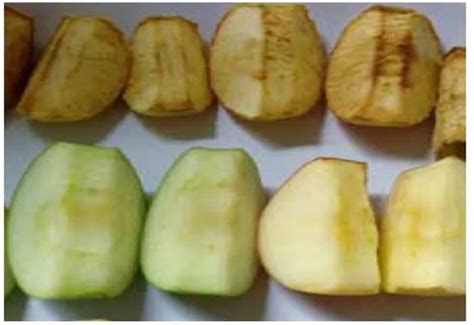 Browning of Food and its Types : Maillard reaction and Caramelization