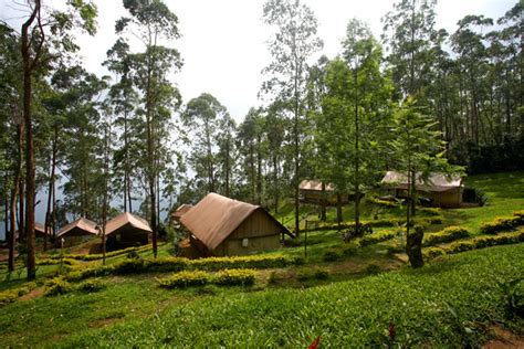 Munnar Tents | Munnar Camps | Stay in Camp | Stay in a Tent in Munnar ...