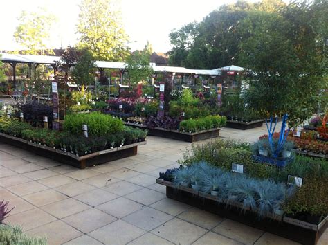 Squires Garden Centre, Twickenham | Garden center displays, Garden nursery, Garden center